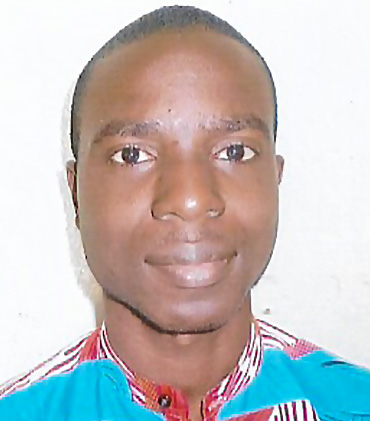 Amadou Emmanuel TOURE : Consultant